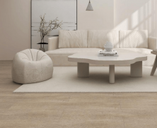 十大品牌凭仗多年行业积淀、手艺立异实力取完